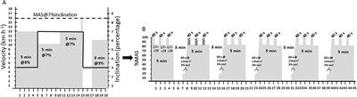 A 6-day high-intensity interval microcycle improves indicators of endurance performance in elite cross-country skiers